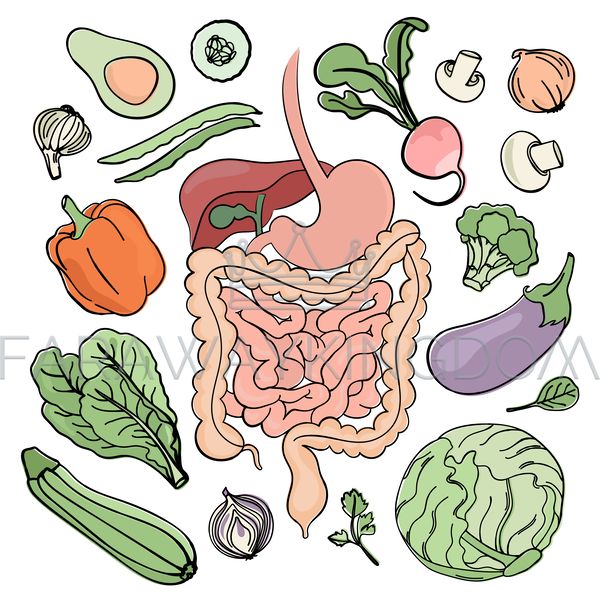 GASTROINTESTINAL TRACT VEGAN [site].png
