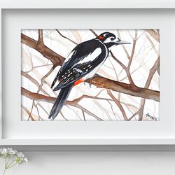 Great spotted woodpecker original birds watercolor, bird painting bird watercolor art by Anne Gorywine