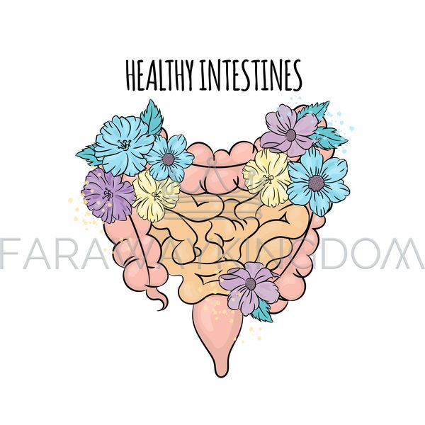 GOOD INTESTINES [site].png