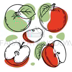 green red apple delicious fruit sketch vector illustration set
