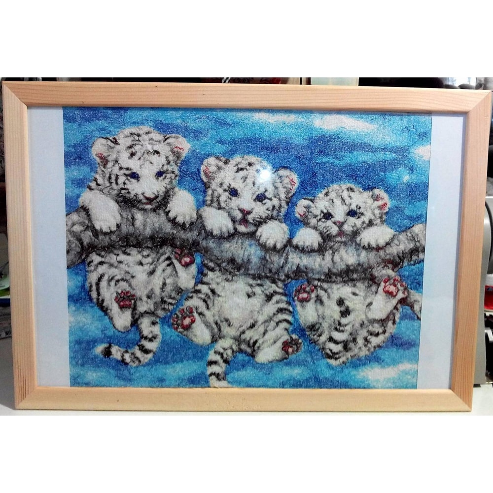 Irbis photo stitch1.jpg