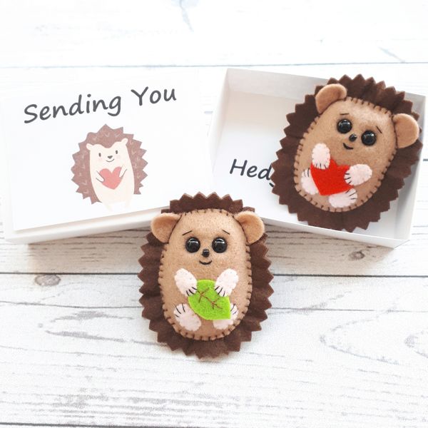 Cute-Hedgehog-in-a-box-sending-hug