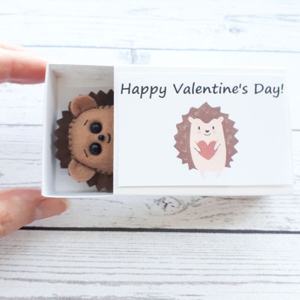 Hedgehog-pocket-hug-in-a-box-love-gift