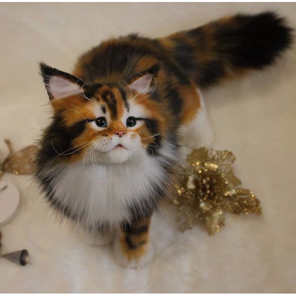 sewing-pattern-cat-maine-coon-kitten (1).jpg