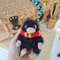 stuffed black niffler toy in gryffindor scarf.jpg