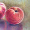 Peaches oil painting, still life 24x18cm 4.jpg