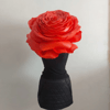 Red rose hat  Cocktail hat, Ladies Day