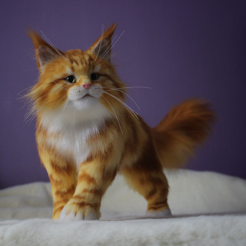 FullSizeRender-10-06-21-07-23-2 (1).jpg