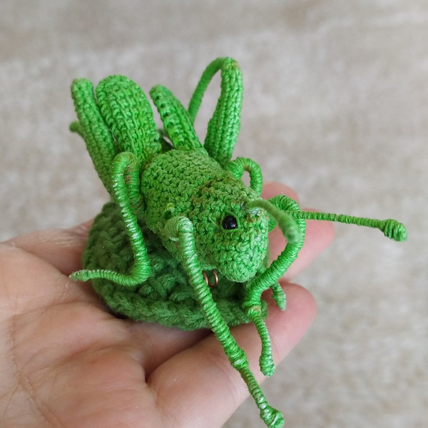 Grasshopper crochet pattern3.jpeg