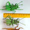 Grasshopper crochet pattern 4.jpg