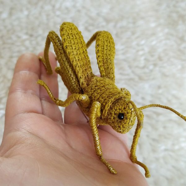 Grasshopper crochet pattern 5.jpeg