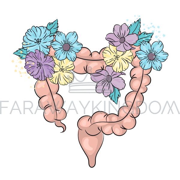 HEALTHY INTESTINES [site].png