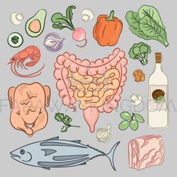 healthy intestines diet medicine human nutrition vector set