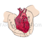HEART AND HANDS [site].png