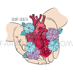 heart care health medicine lifestyle love vector illustration