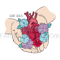HEART CARE [site].png