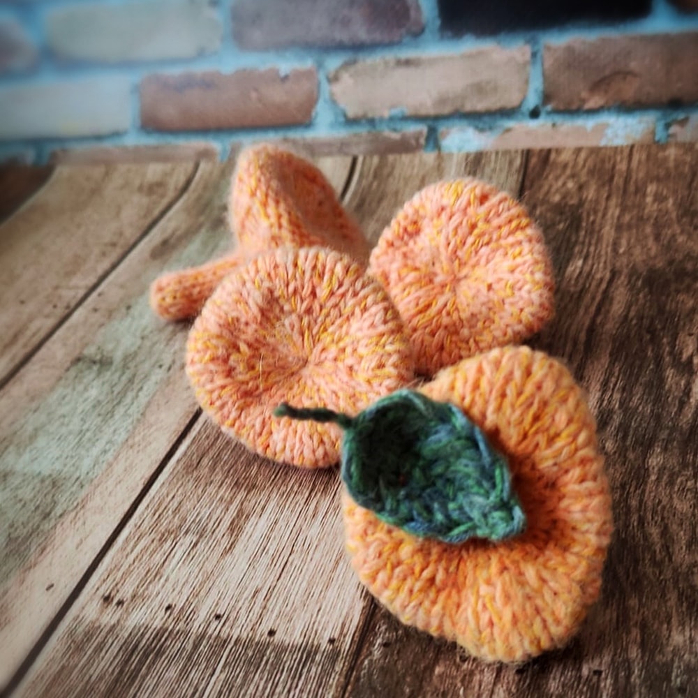 Chanterelle mushroom knitting pattern 5.jpeg