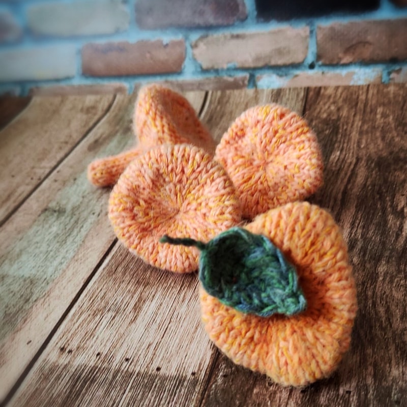 Chanterelle mushroom knitting pattern 5.jpeg