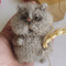 hamster amigurumi toy crochet pattern 6.jpg