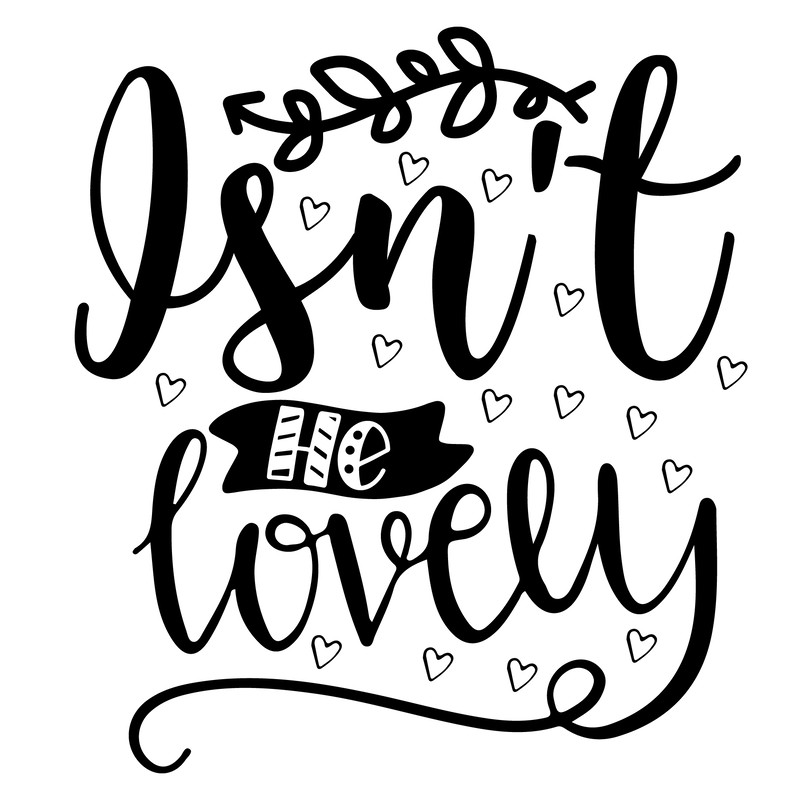 Isn t he lovely-01.png