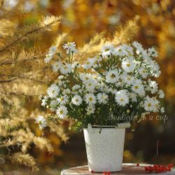 Bouquet of asters print, white flowers photo download, autumn garden digital photography, floral fine art photography