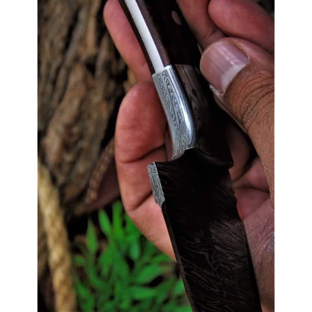 FBIMG1665717370924jpg