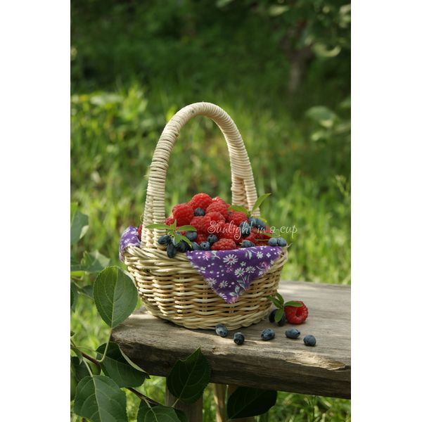 photo of raspberry basket