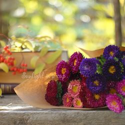 Bouquet of colorful asters, floral fine art photography, still life printable poster, autumn flowers photo download