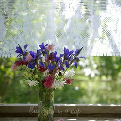 Flower in vase photo download, floral still life photography, colorful bouquet picture, printable digital