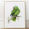 print-green-parrot-in-frame.jpg