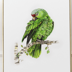Green parrot on a branch digital print