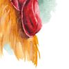 watercolor-rooster-on-a-green-blackground.jpg