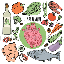 heart health diet human nutrition vector illustration set