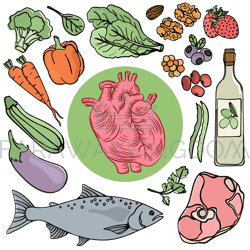 heart health food human diet nutrition vector illustration