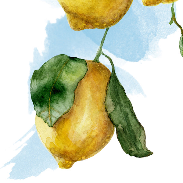 closeup-lemons.jpg