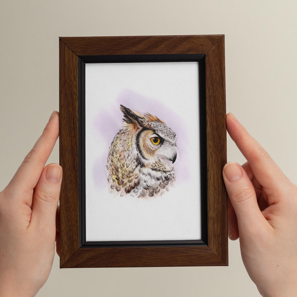 pencil-artwork-owl-bird-for-printing.jpg