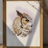 brown-owl-with-yellow-eyes.jpg