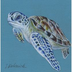 Sea turtle. Original colored pencil drawing  6x6''