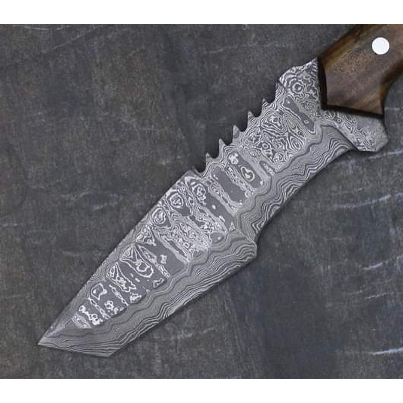 FBIMG1665014834791jpg