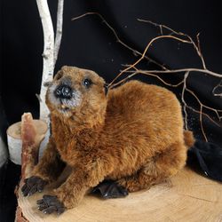 realistic toy Beaver plush toy beaver