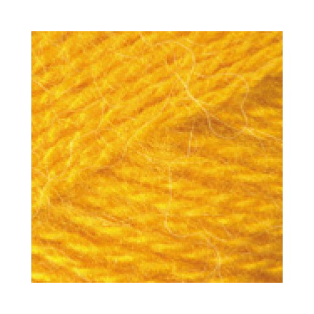 yellow.jpg