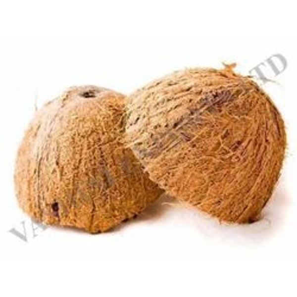 coconut-shells-250x250.jpg