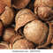 textured-background-brown-coconuts-260nw-290737970.jpg