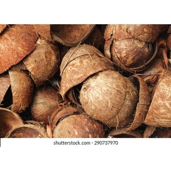 textured-background-brown-coconuts-260nw-290737970.jpg