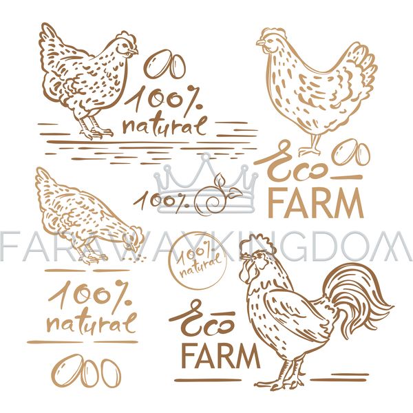 HEN COCK HAND DRAWN FARM SKETCH [site].png