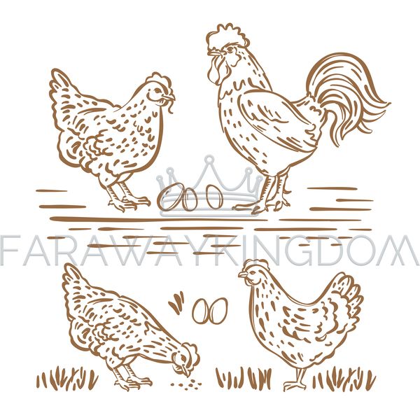 HEN COCK HAND DRAWN SKETCH [site].png