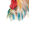 watercolor-chicken-poster-closeup.jpg