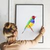 colorful-finch-poster-in-frame.jpg
