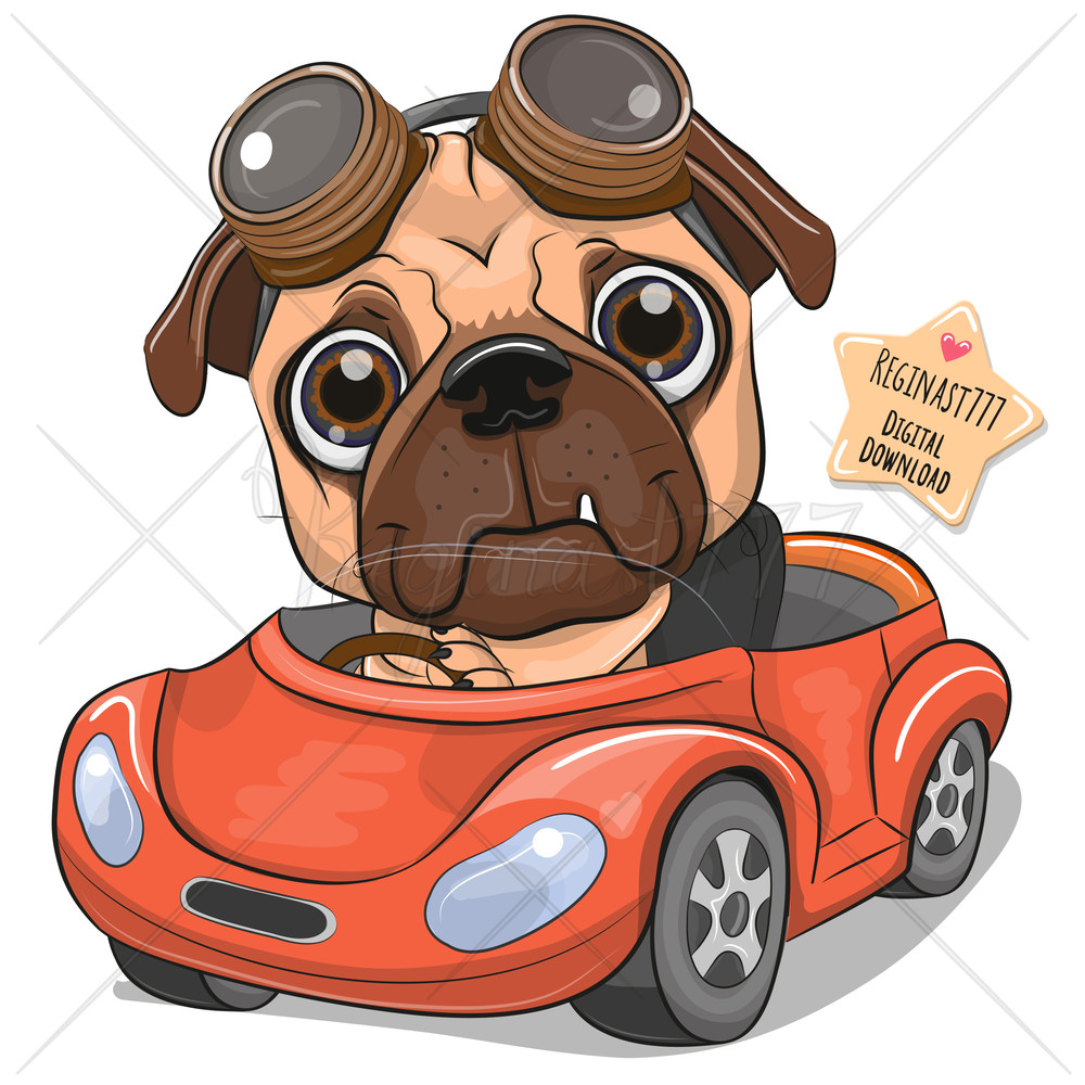 cute-pug-on-a-car.jpg