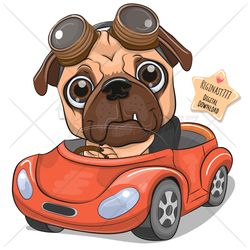 cute cartoon pug dog png, car, clipart, sublimation design, children printable, illustration